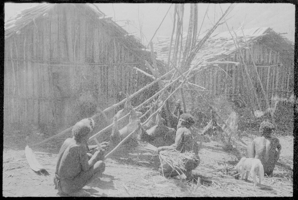 Group Preparing Pigs for a Ceremony