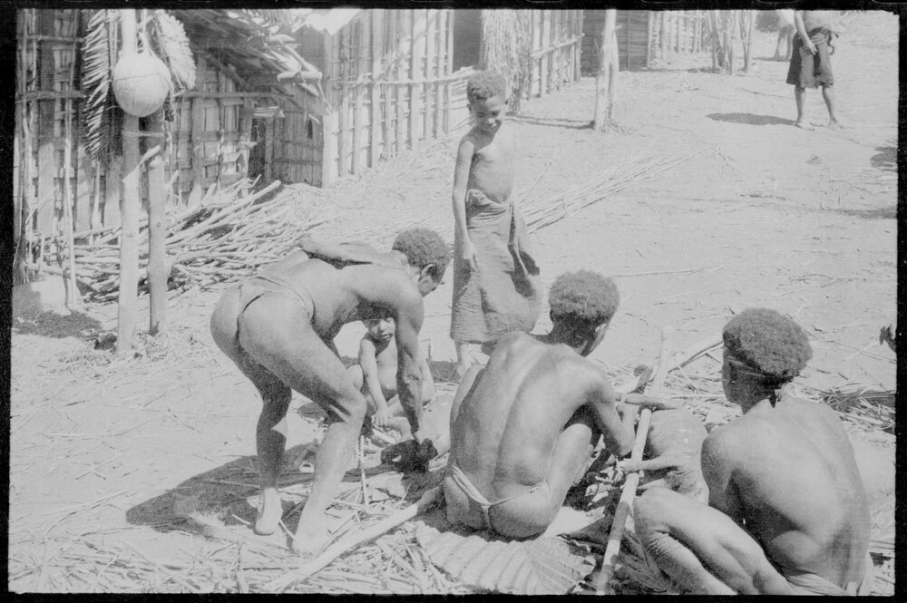 Group Preparing Pigs for a Ceremony