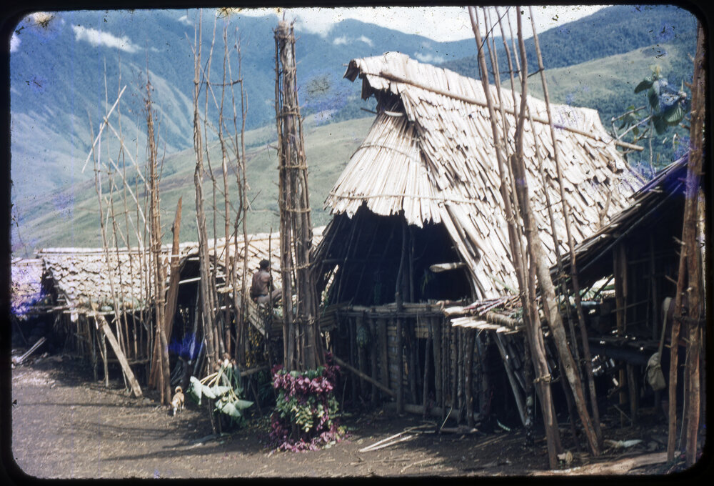 Buildings with Food Poles Outside