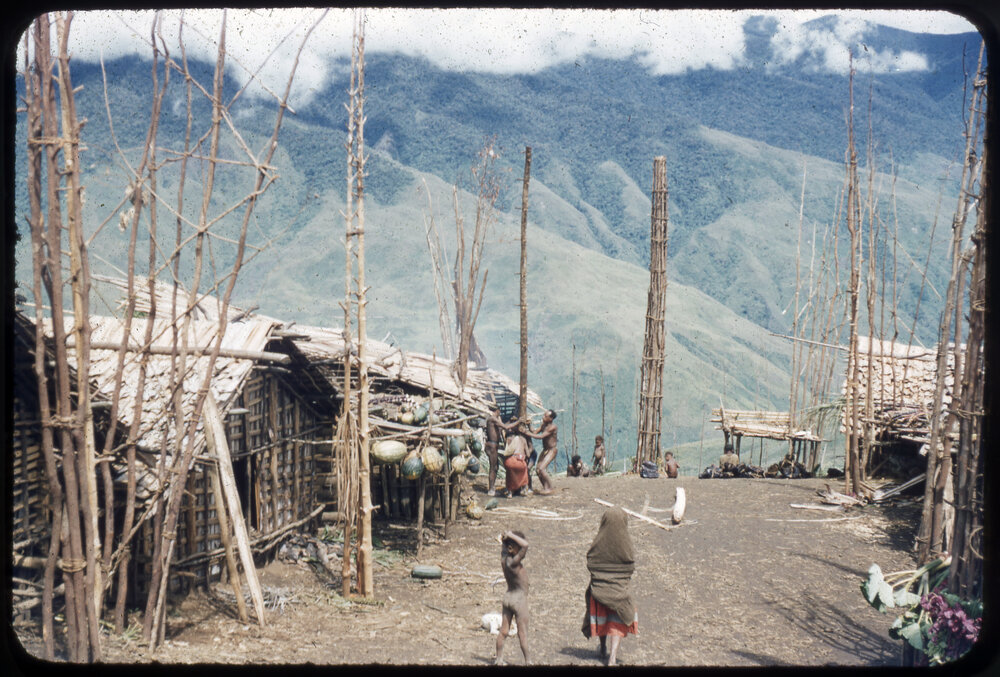 Buildings with Food Poles Outside