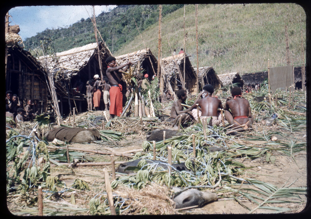 Men Sitting Among Slaughtered Pigs