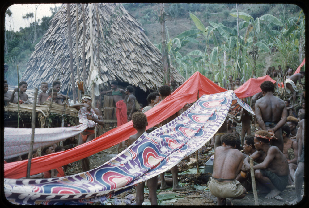 Group Suspending Cloth Through Village