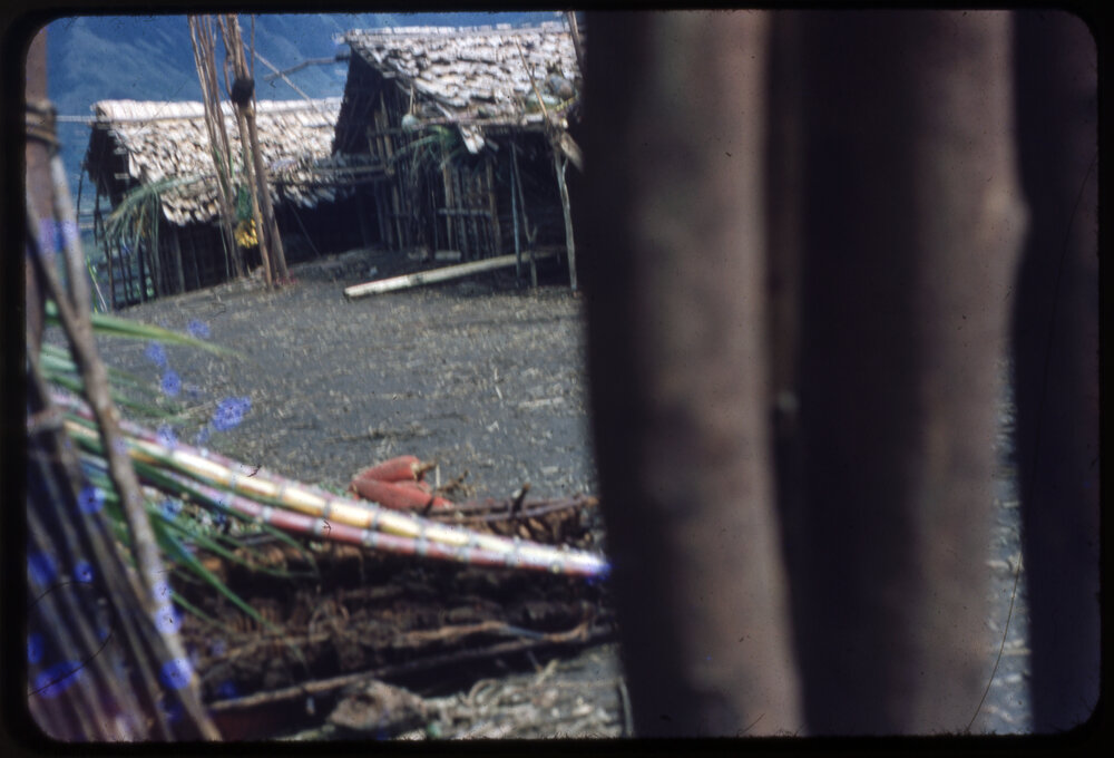 Buildings with Food Poles Outside