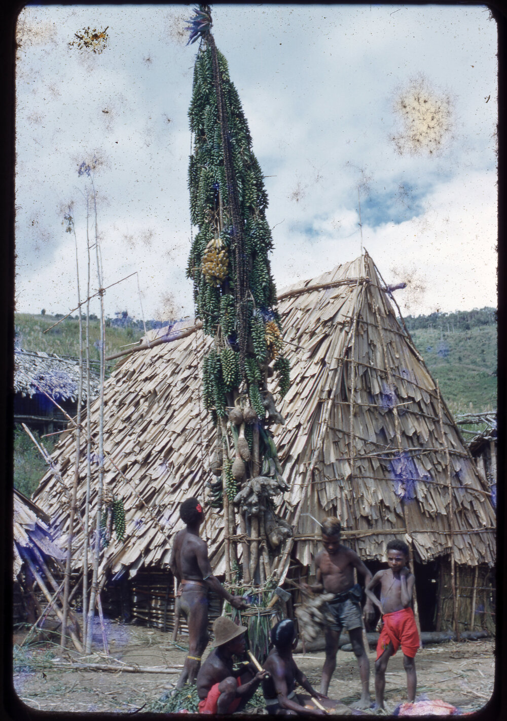 Fruits and Plants Hanging from a Food Pole
