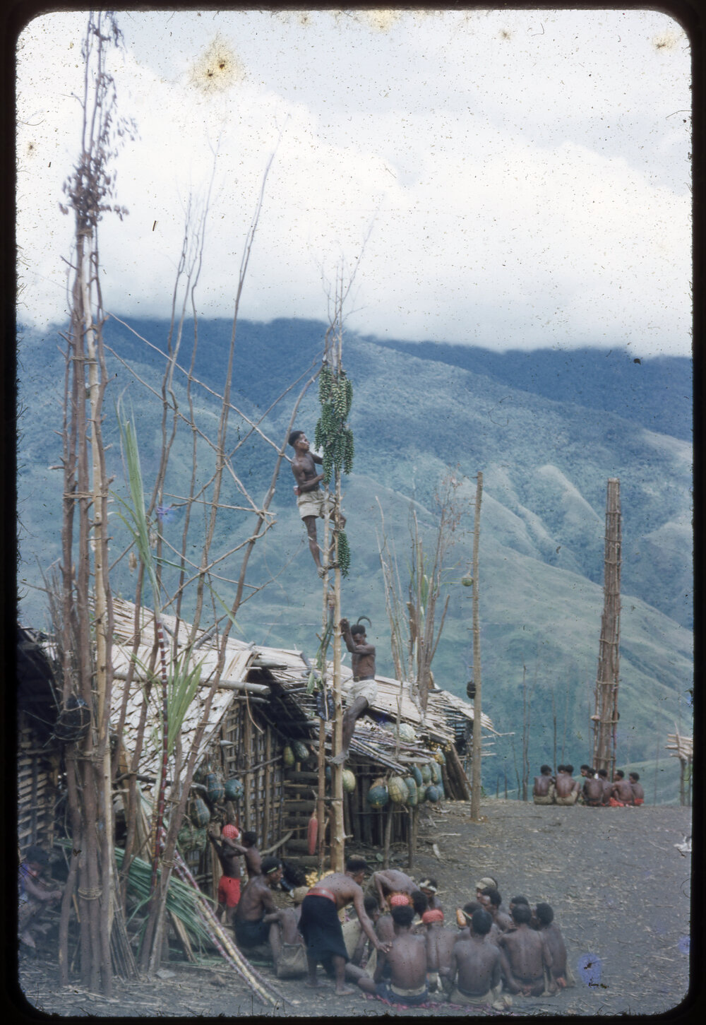 Men Climbing Food Poles