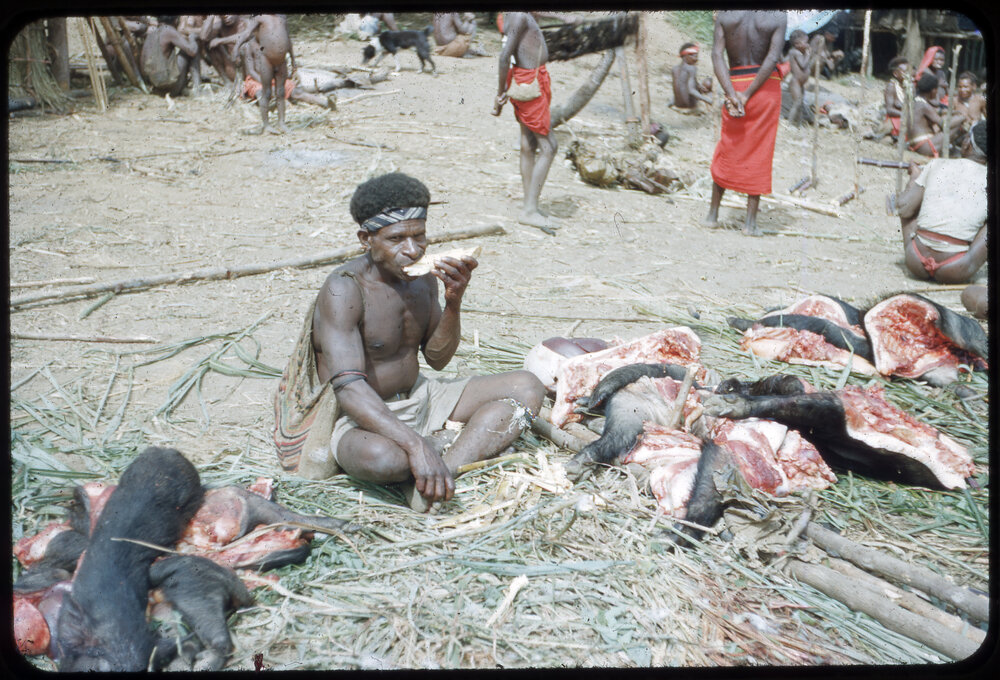 Man Eating Beside Butchered Pigs