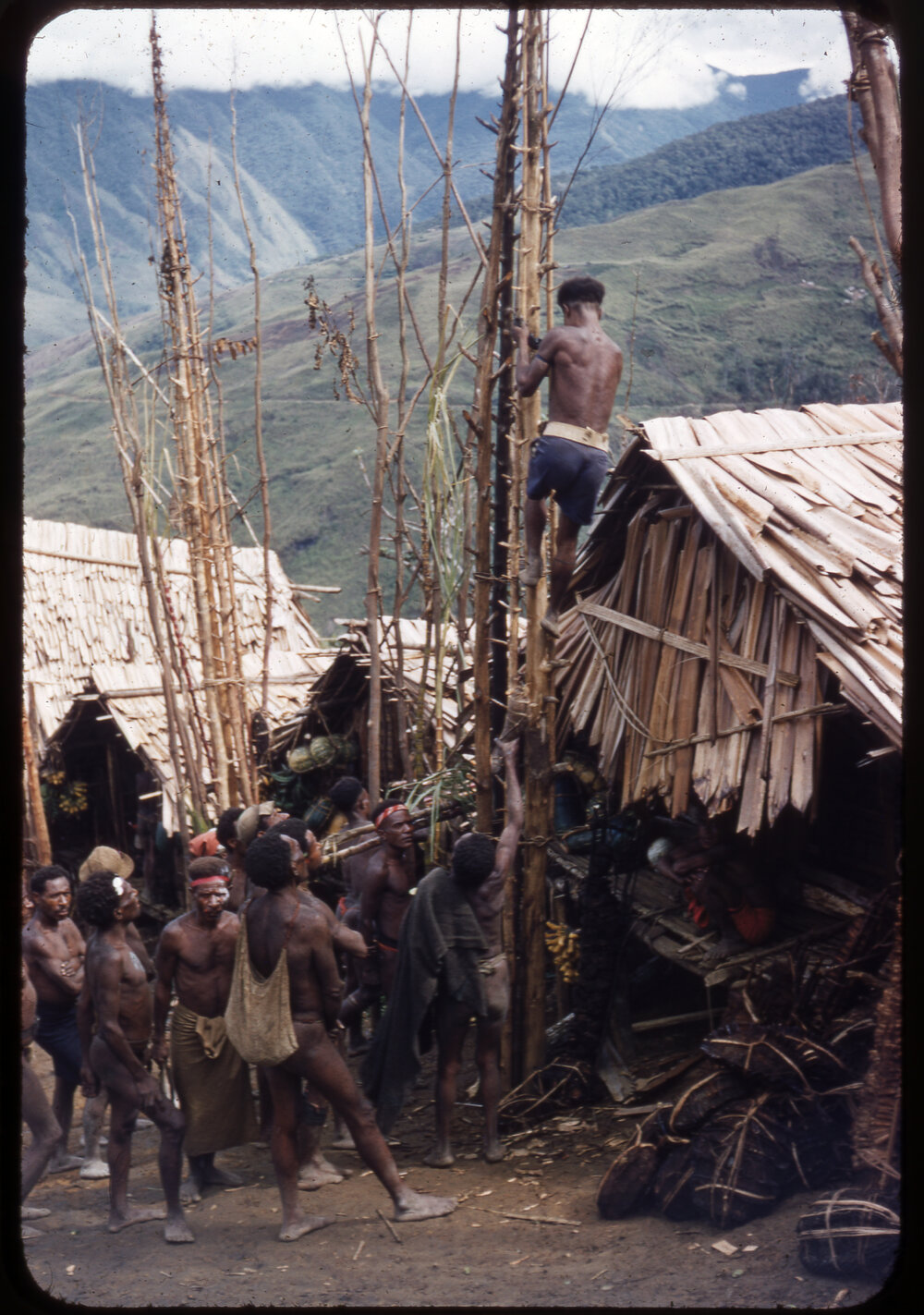 Group of Men Constructing Food Poles