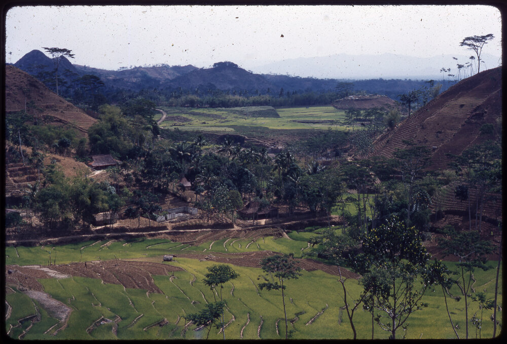 View Across Fields