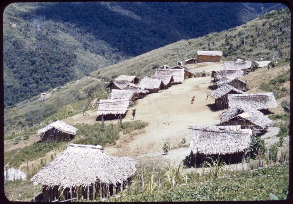 Village on Mountainside