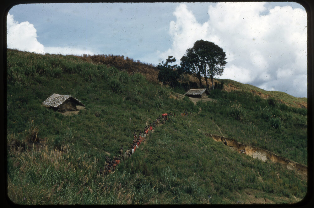 Group of People Walking Along Mountain Path