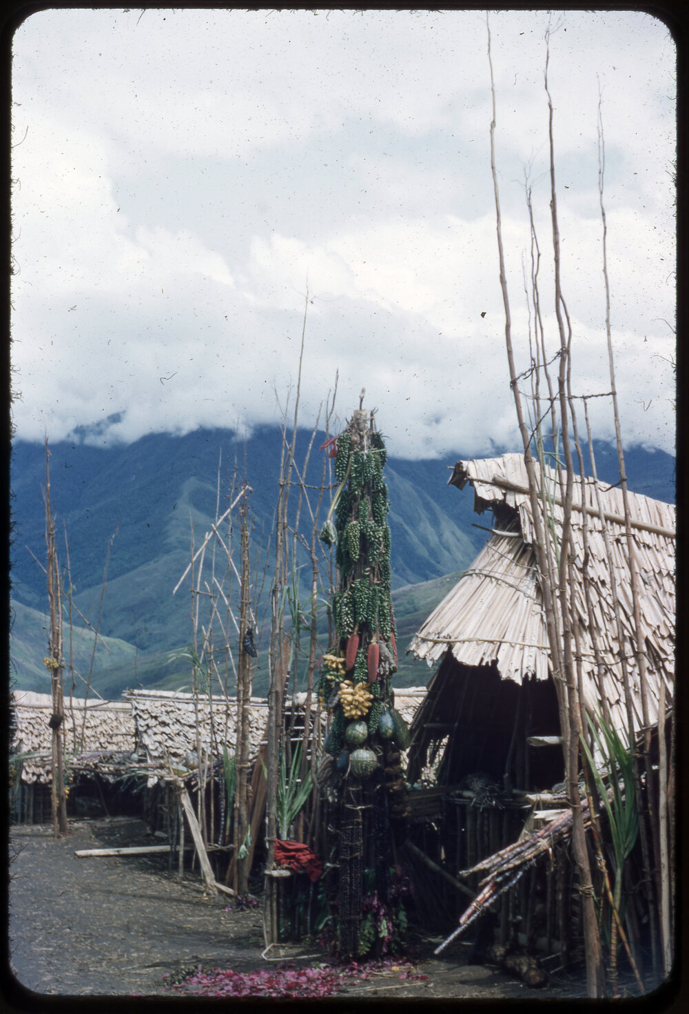 Food Pole and Buildings