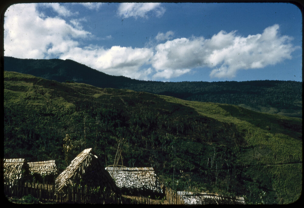 Village with Mountains in Background