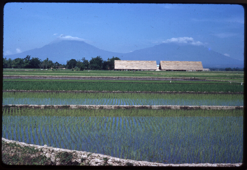 Fields with Mountains in Background