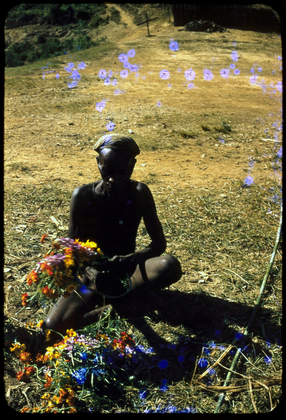 Man Collecting Flowers