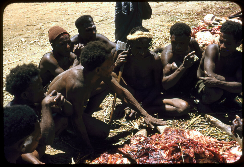 Men Butchering Pigs for Ceremony