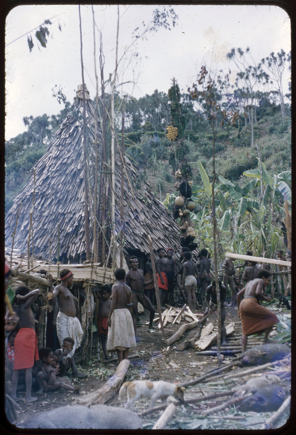 People Gathered Around Food Poles