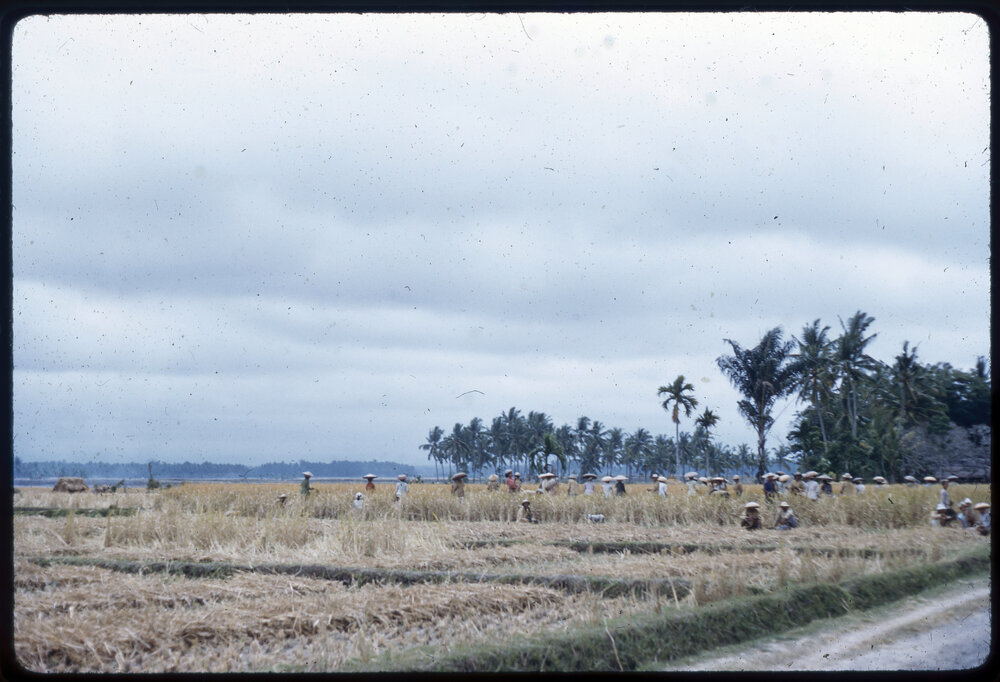 Group of People Gathered in a Field