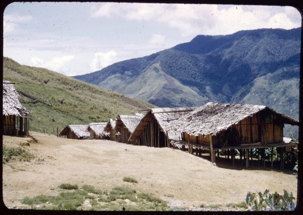 Village, Papua New Guinea