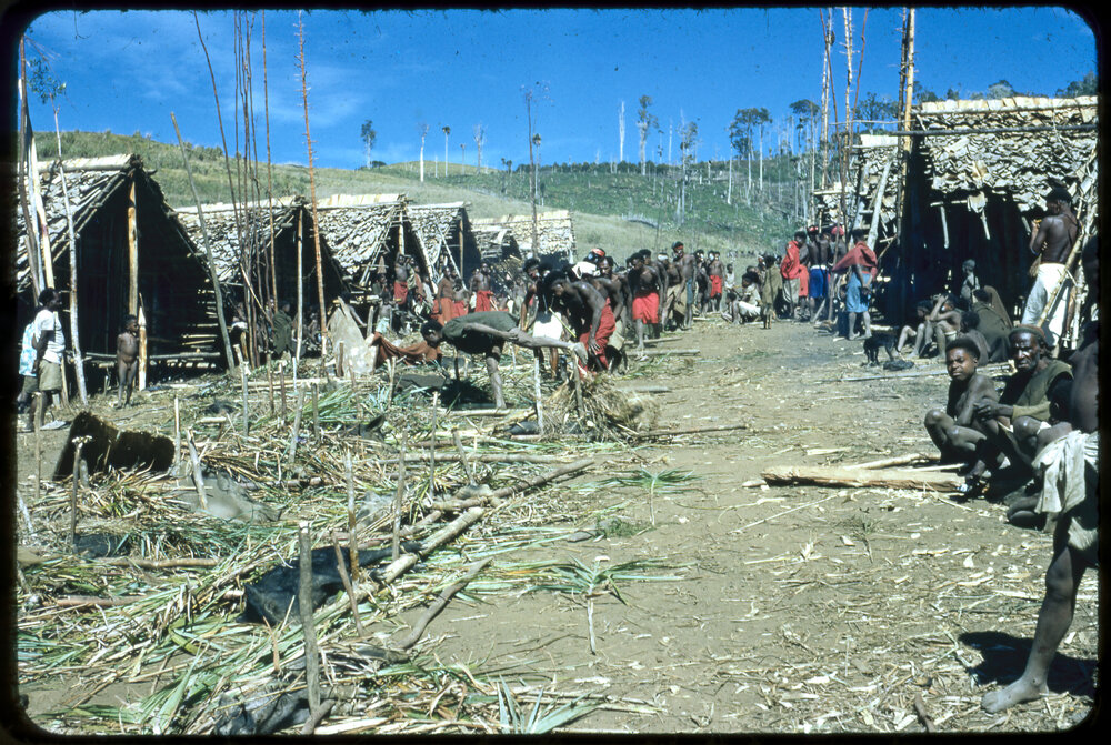 Group Preparing Pigs for Ceremony