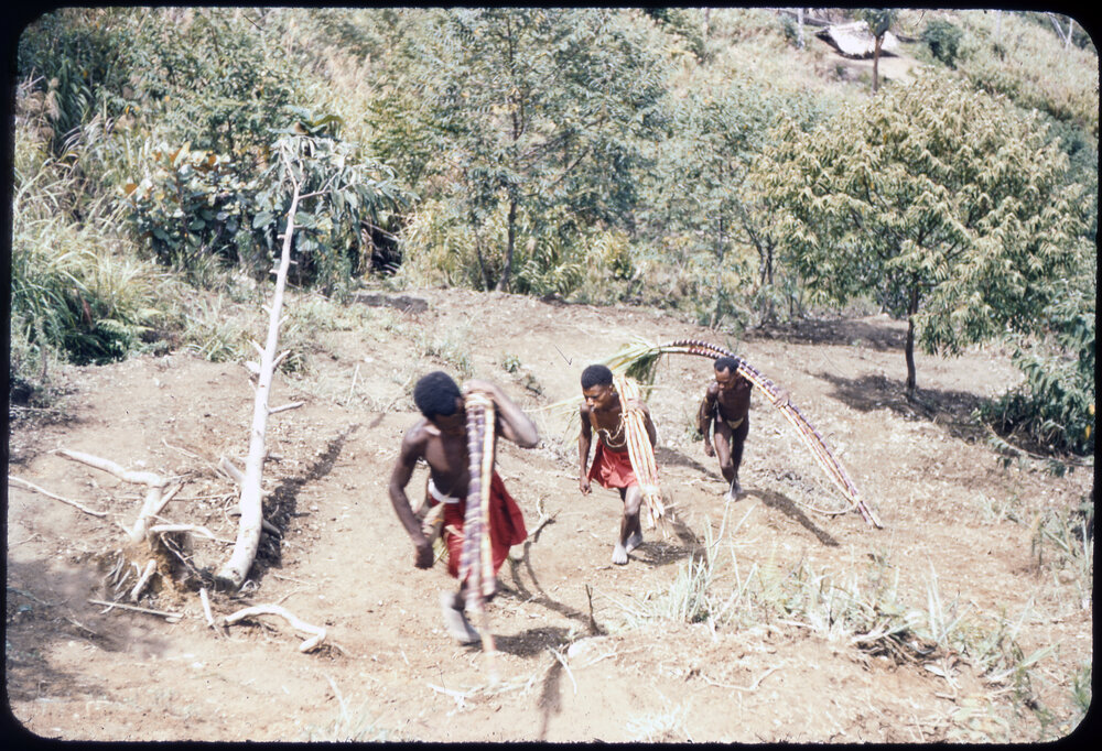 Men Carrying Branches Uphill