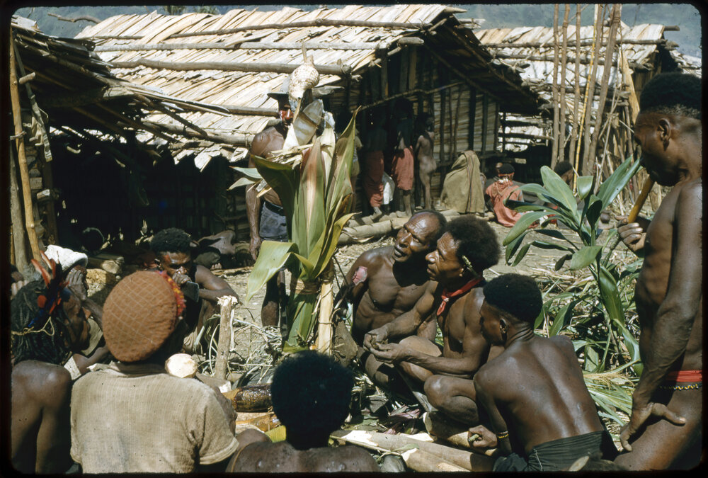 Men Gathered Around Plant