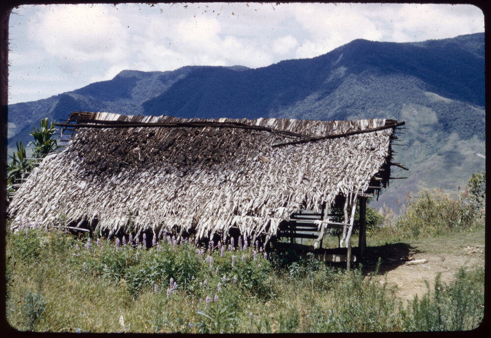 Building on Mountainside