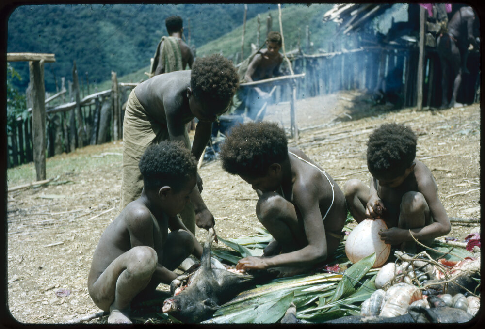 Children Playing with Slaughtered Pig