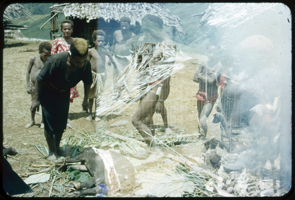 Group Preparing Pigs for Ceremony