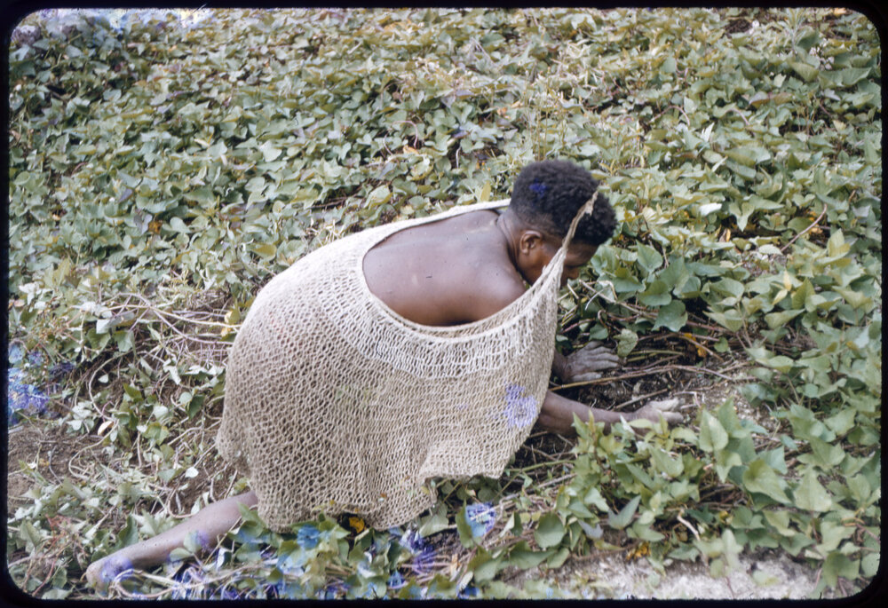 Woman Collecting Plants
