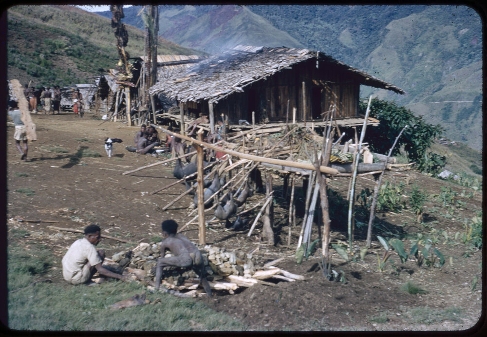 Group Preparing Pigs for Ceremony