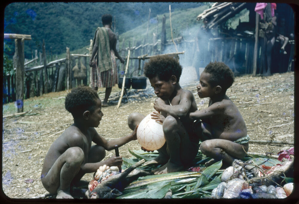 Children Playing with Slaughtered Pig
