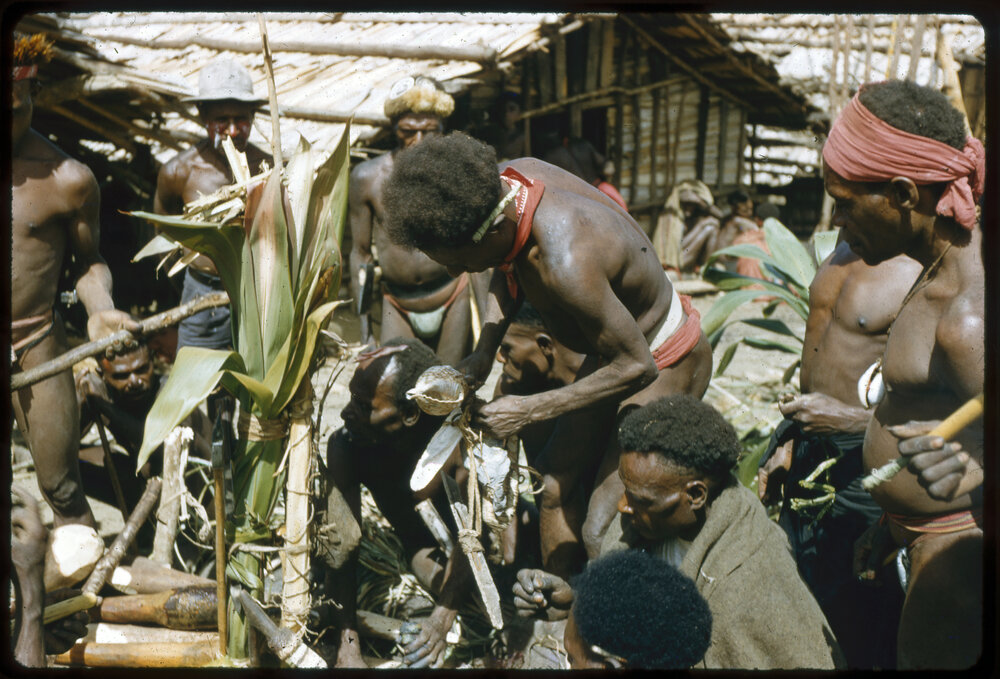 Group Gathered Around a Plant