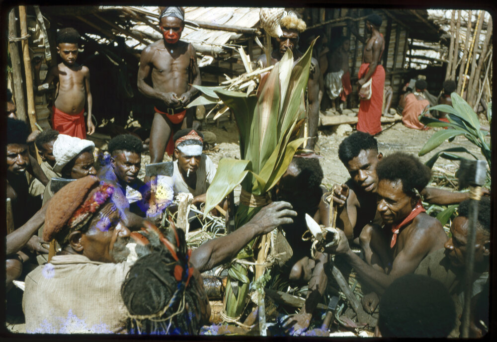 Group of Men Gathered Around Plant