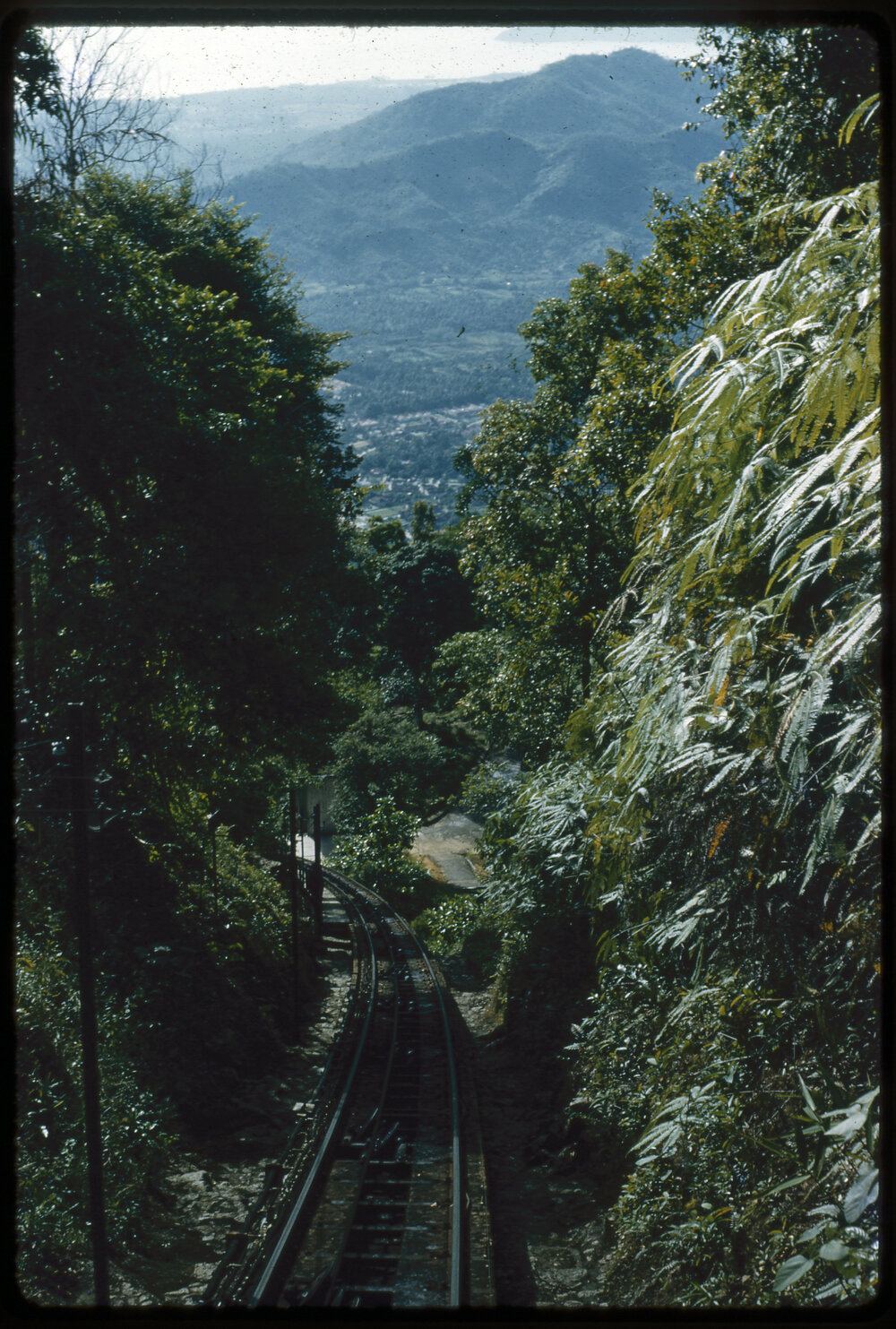 Mountainside Train Track