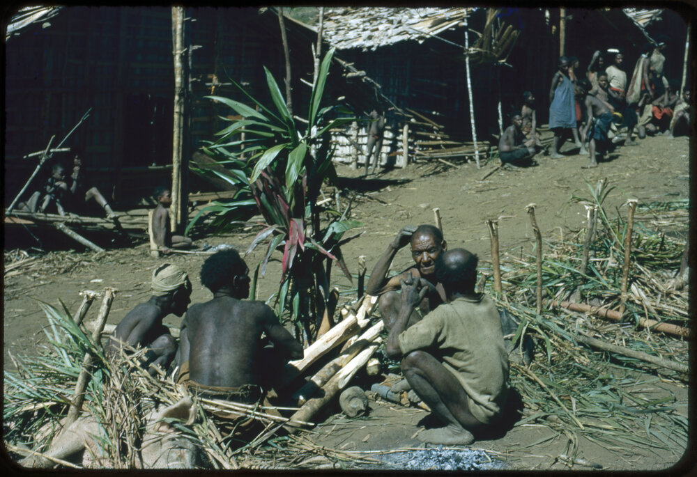 Men Sitting Around a Plant