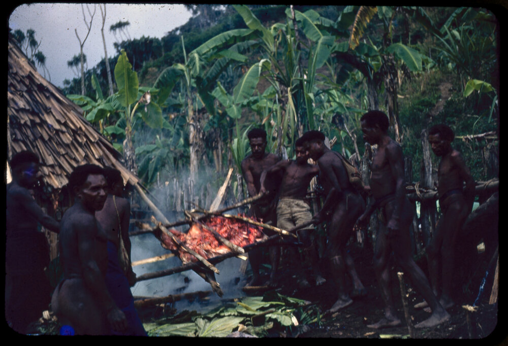 Men Preparing Pigs for Ceremony