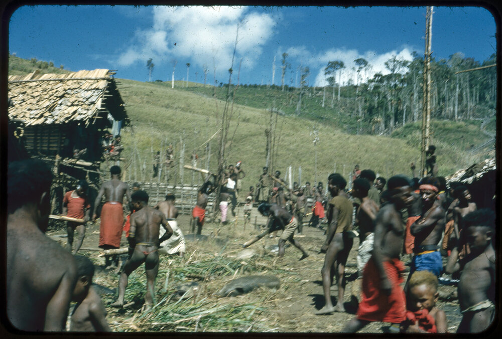 Group Preparing Pigs for Ceremony