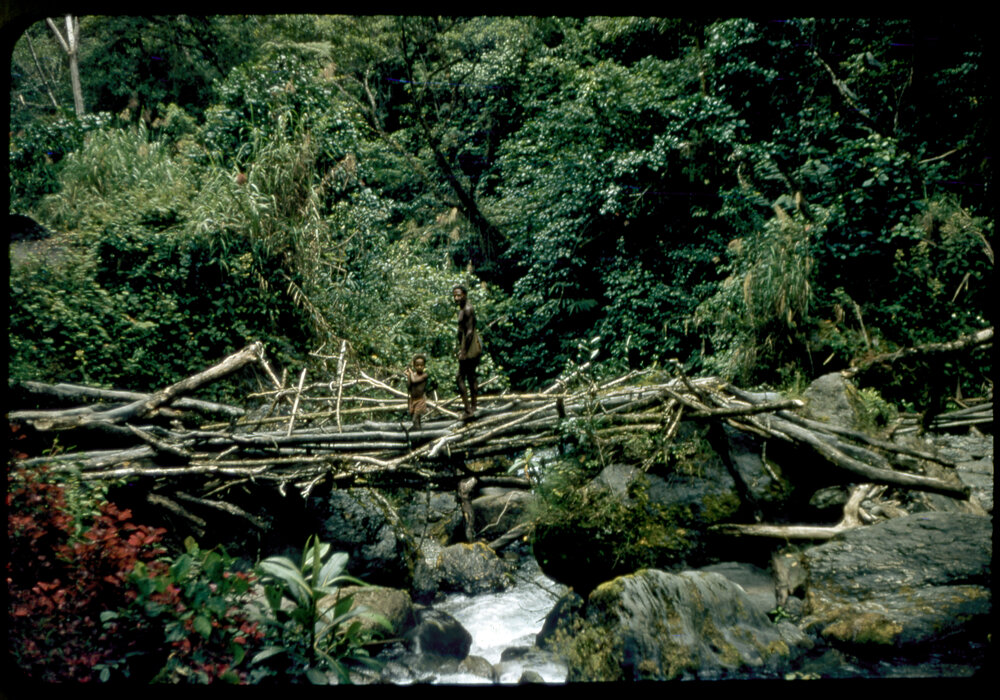 Man and Child Standing on Bridge