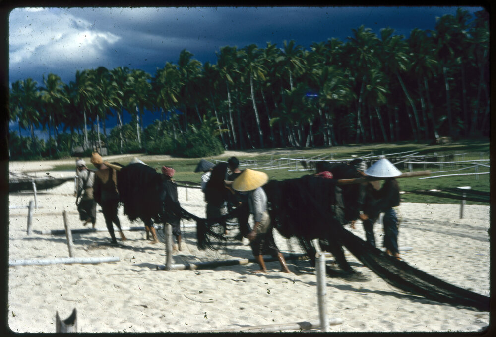 Taking Nets Out for Drying