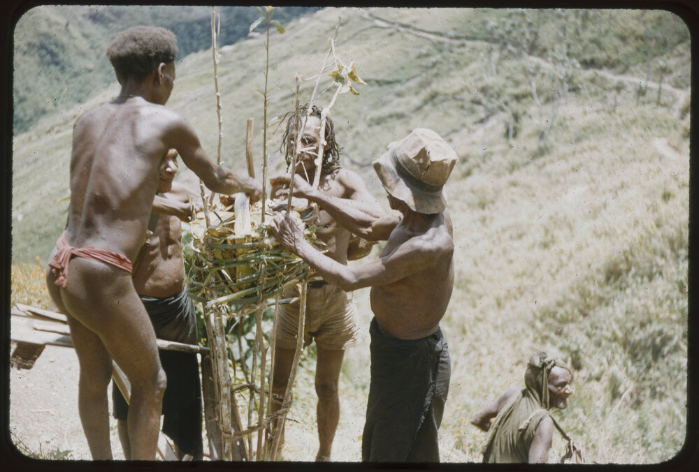 Men Building a Structure, Possibly a Food Pole