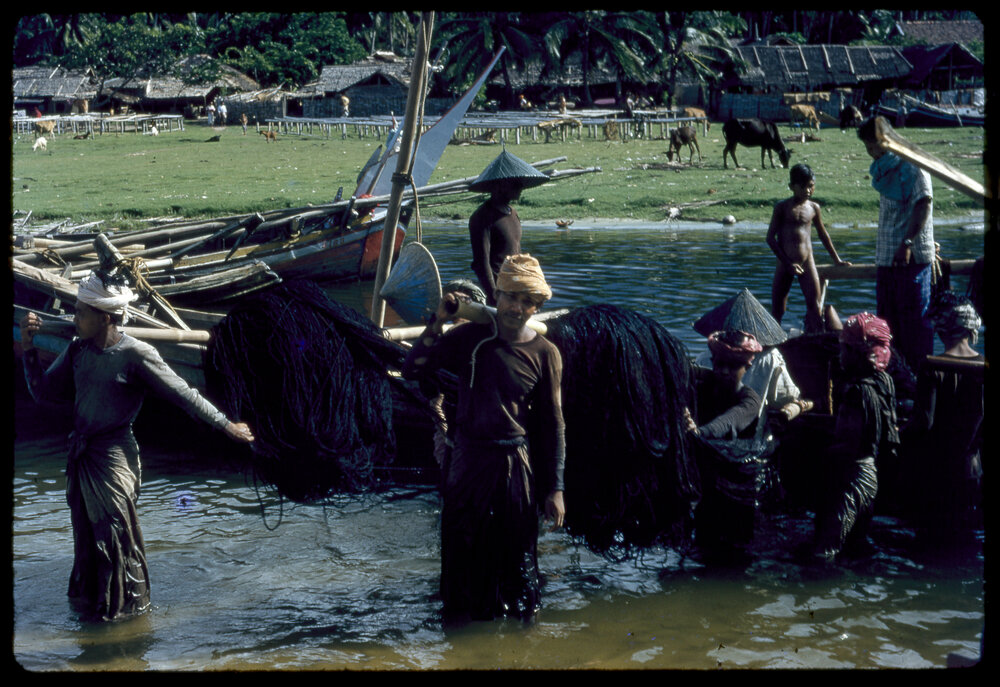 Taking Nets Out for Drying