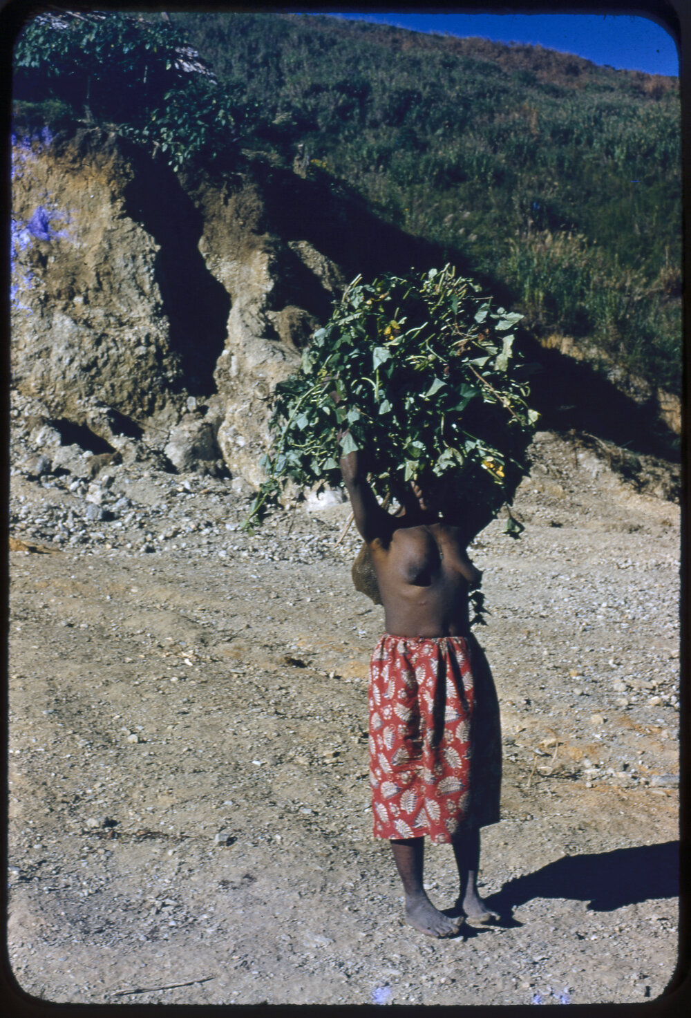 Woman Carrying Plants
