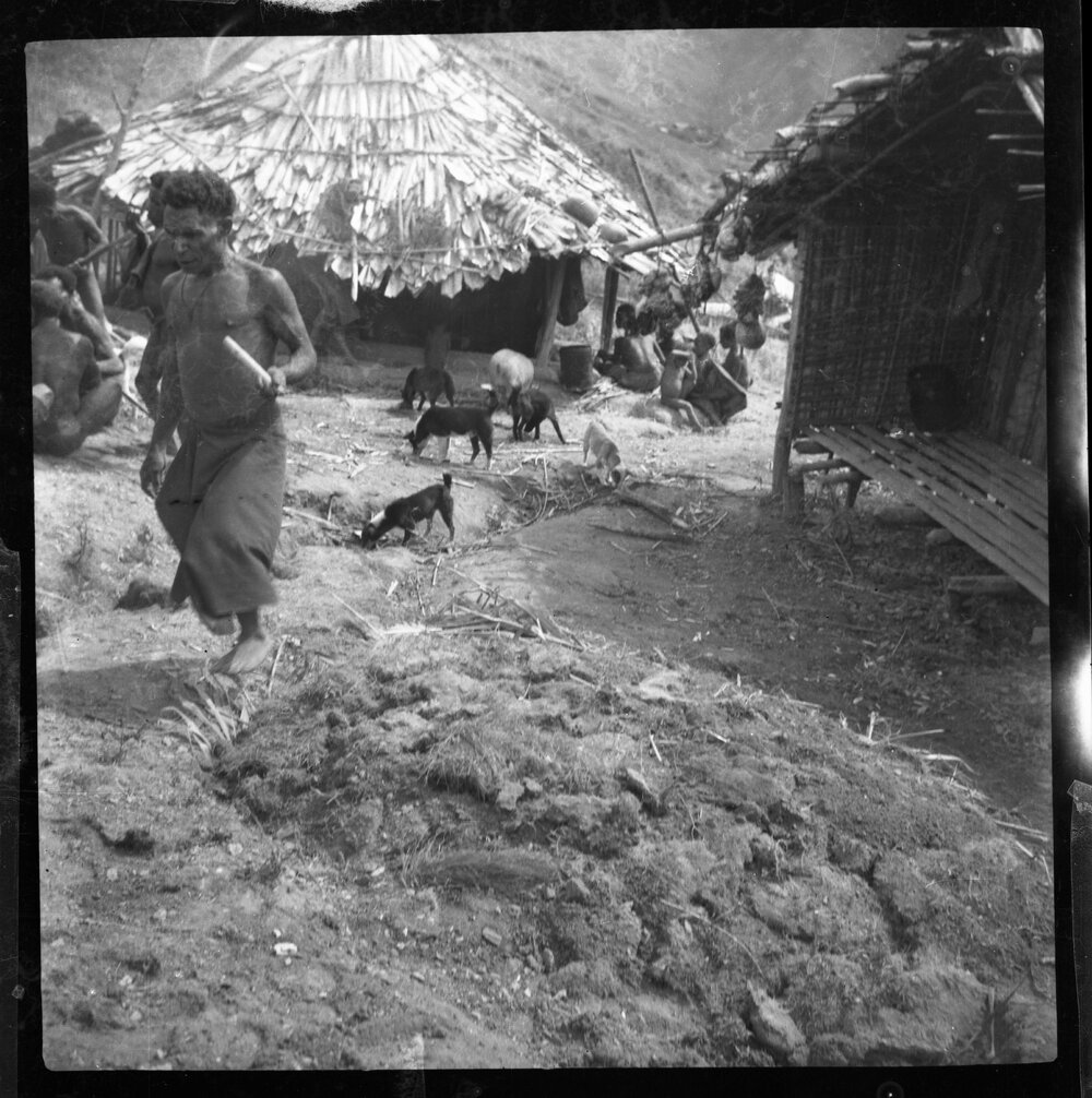 Man in Hamlet Followed by Dogs