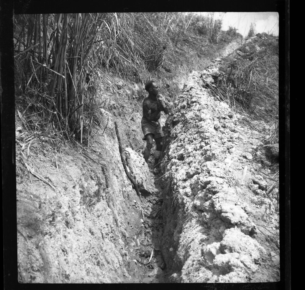 Man Standing in a Ditch