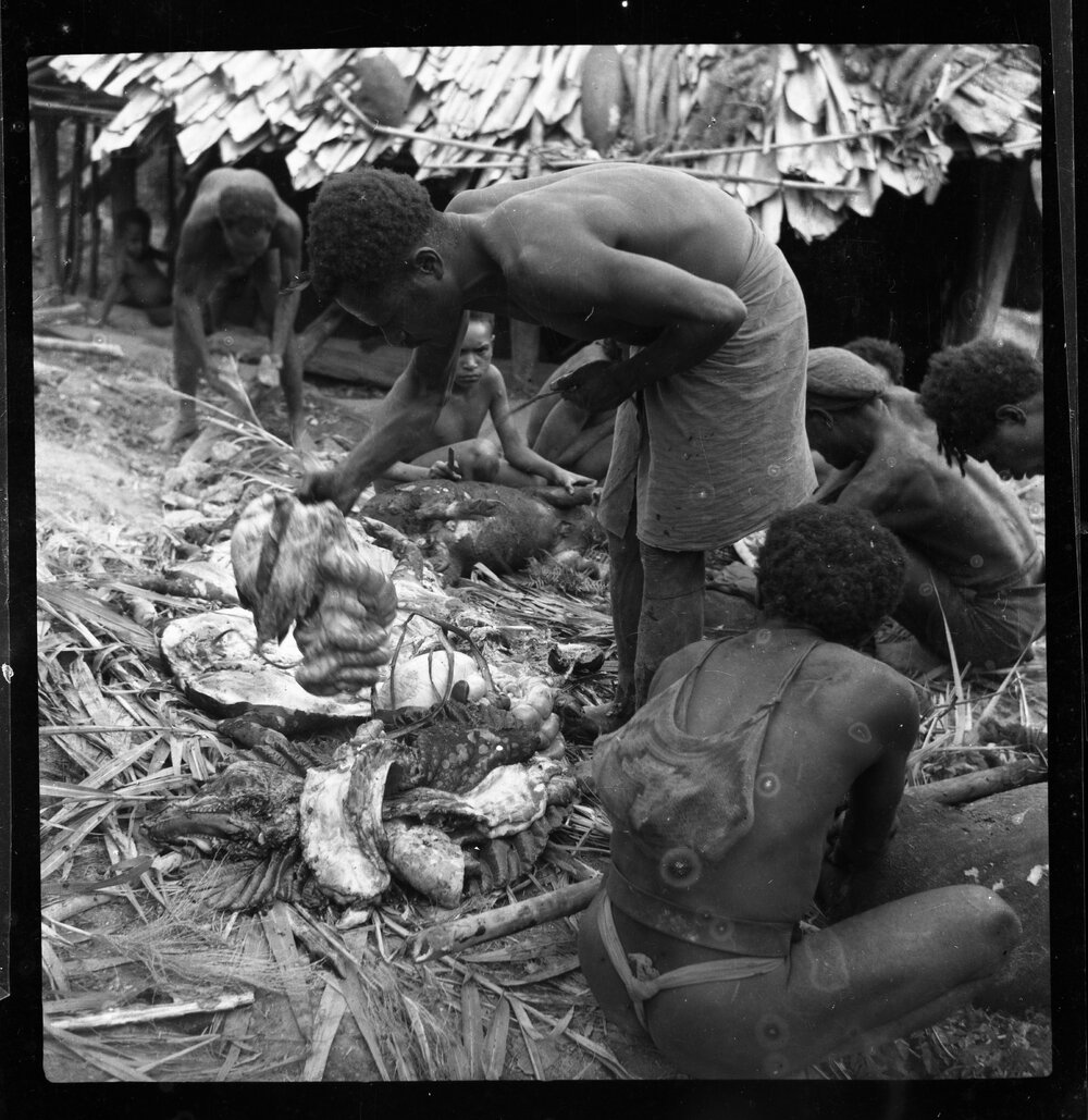 Group Butchering Pigs