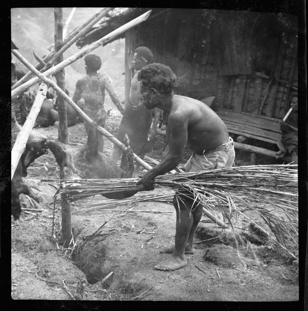 Group Preparing Pigs for a Ceremony