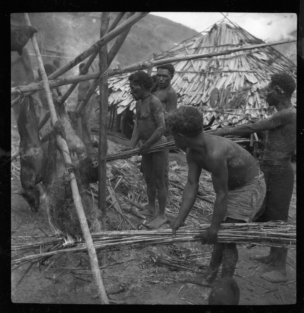 Group Preparing Pigs for a Ceremony