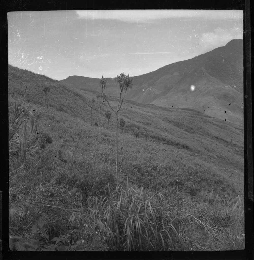 Mountainside, Papua New Guinea