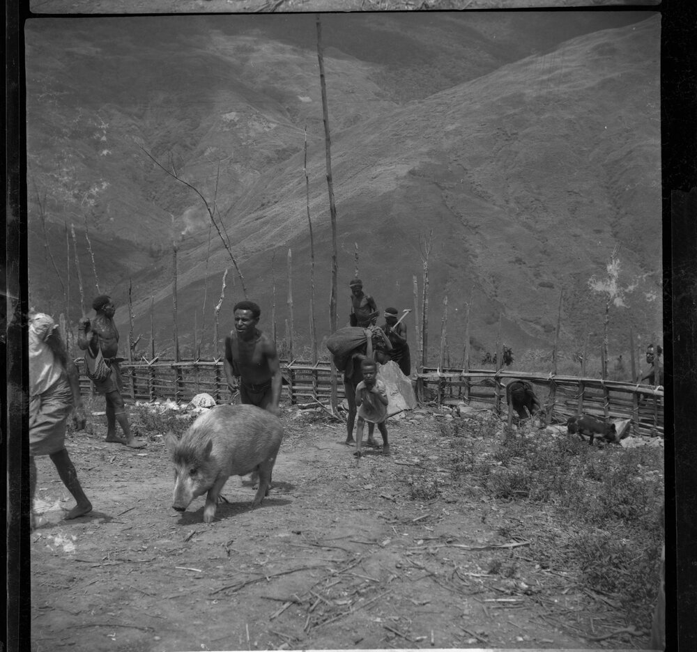 Group Passing Through Gate on Mountainside