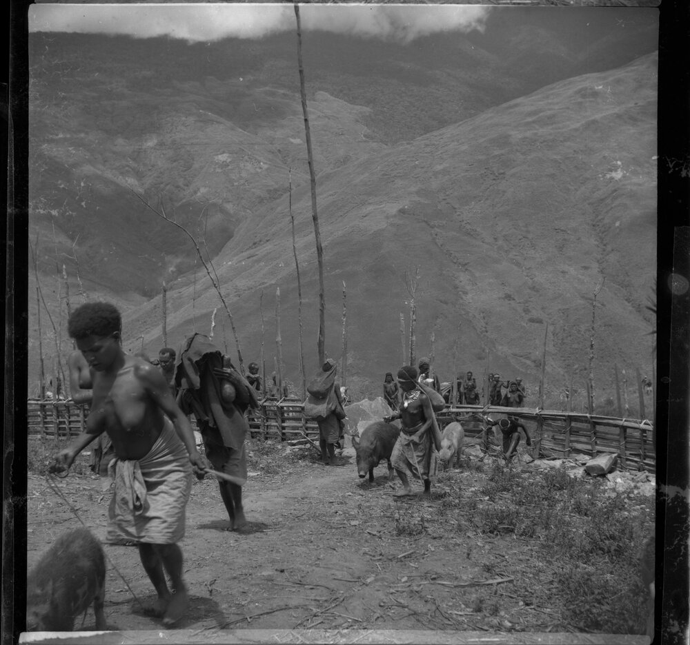 Group Passing Through Gate on Mountainside